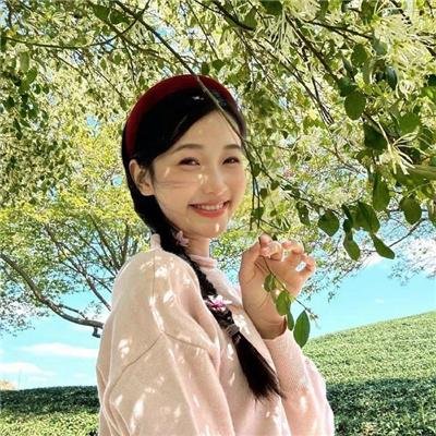 胡狼来了